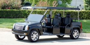 affordable golf cart rental, golf cart rent illinois