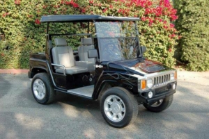 affordable golf cart rental, golf cart rent illinois